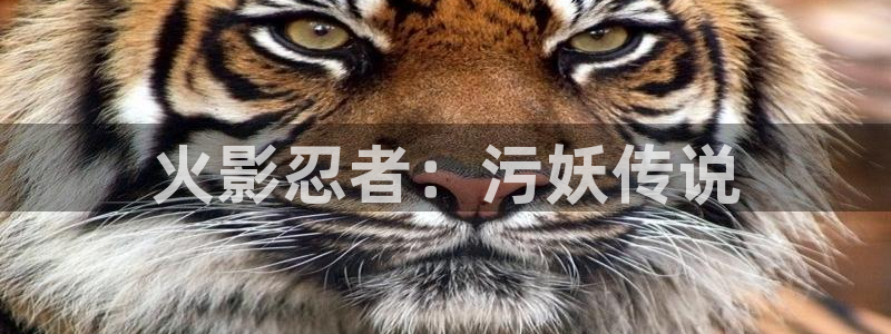 酷漫屋app下载安装官方最新：火影忍者：污妖传说